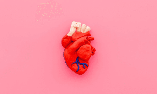 Five ways to keep your heart healthy